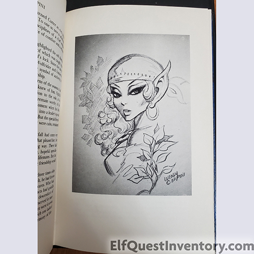 ElfQuest: Journey to Sorrow's End