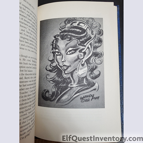 ElfQuest: Journey to Sorrow's End