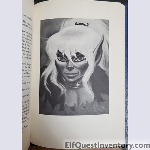 ElfQuest: Journey to Sorrow's End